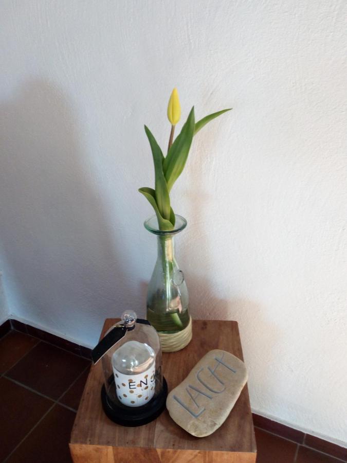 Letteratelier Driesprong Apartment Oedelem ภายนอก รูปภาพ